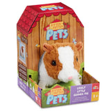 Pitter Patter Lively Little Guinea Pig