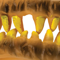 Madtoy Horror Teeth Yellow Monster Teeth