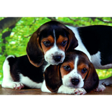 Clementoni Puzzle High Quality Collection Close Together with Poster 500-pieces