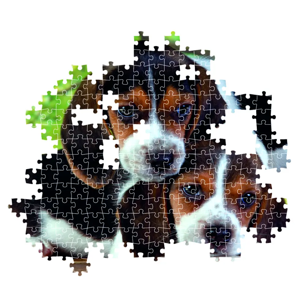 Clementoni Puzzle High Quality Collection Close Together with Poster 500-pieces