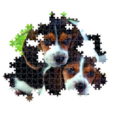 Clementoni Puzzle High Quality Collection Close Together with Poster 500-pieces