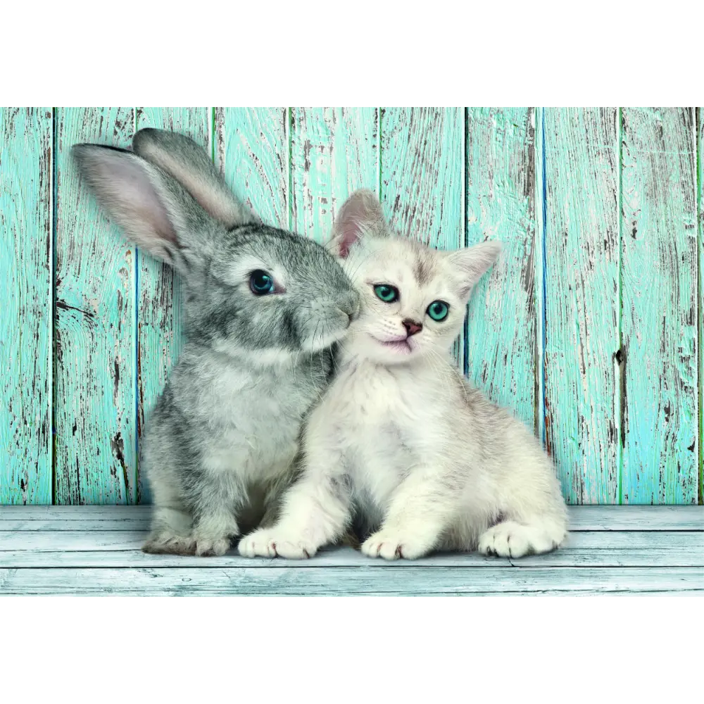 Clementoni Puzzle HQC Cat & Bunny+Poster 500pcs