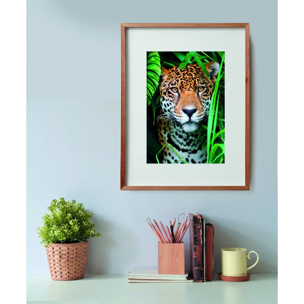 Clementoni Puzzle High Quality Collection Jaguar in the Jungle with Poster 500-pcs