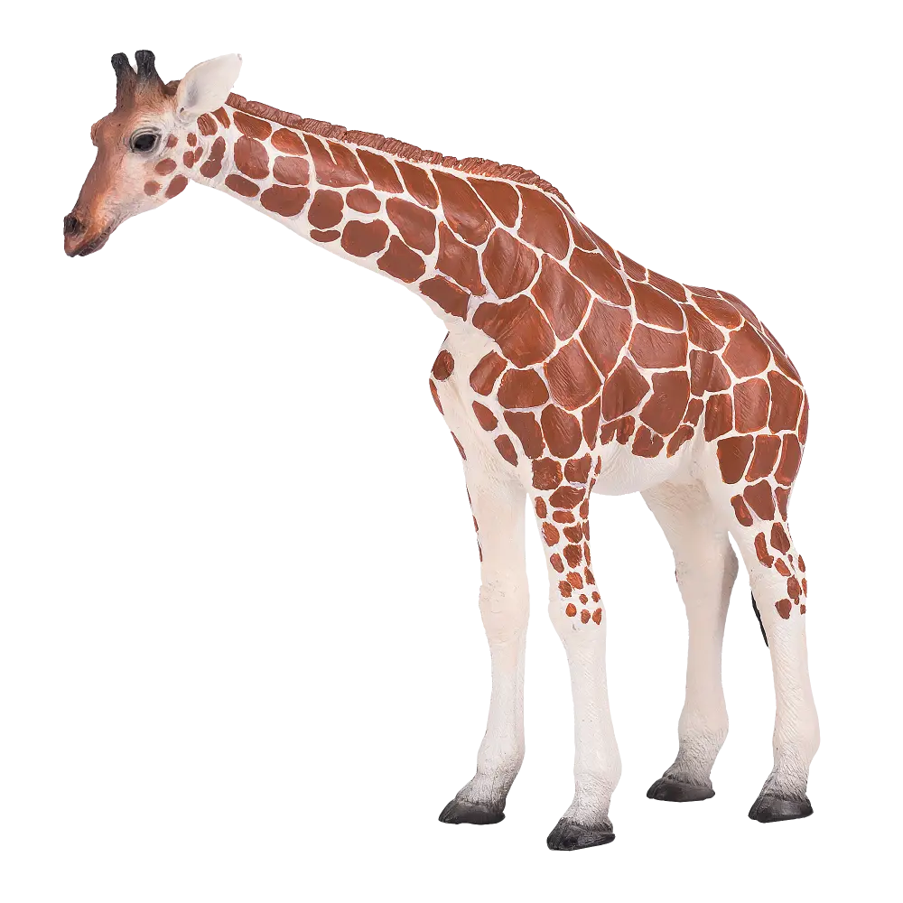 Mojo Animal Giraffe Female