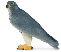 Mojo Animal Peregrine Falcon