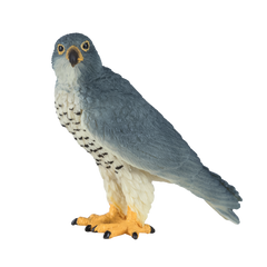 Mojo Animal Peregrine Falcon