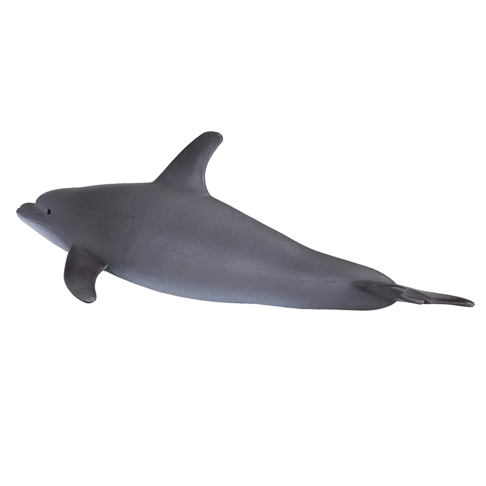 Mojo Animal Bottlenose Dolphin