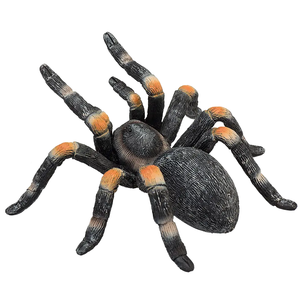 Mojo Animal Red Kneed Tarantula
