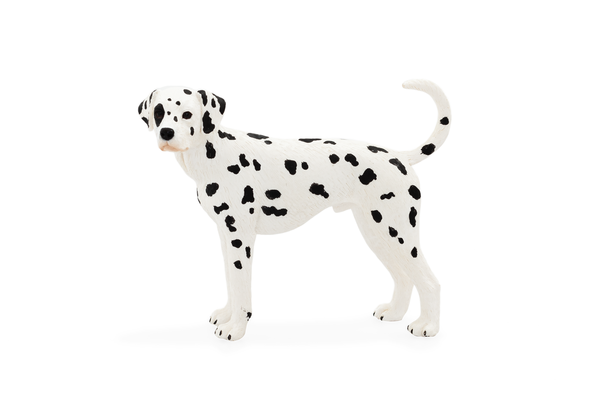 Mojo Animal Dalmatian