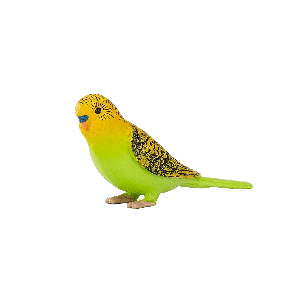 Mojo Animal Budgerigar Green