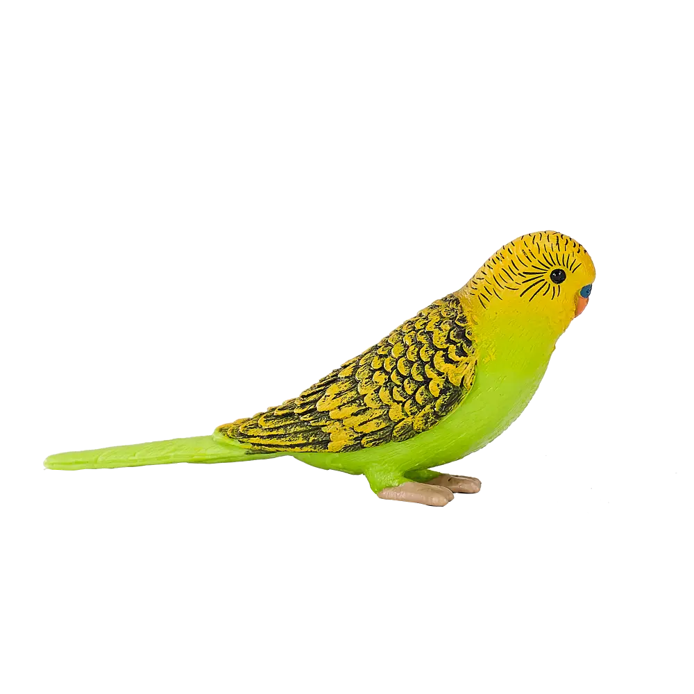 Mojo Animal Budgerigar Green
