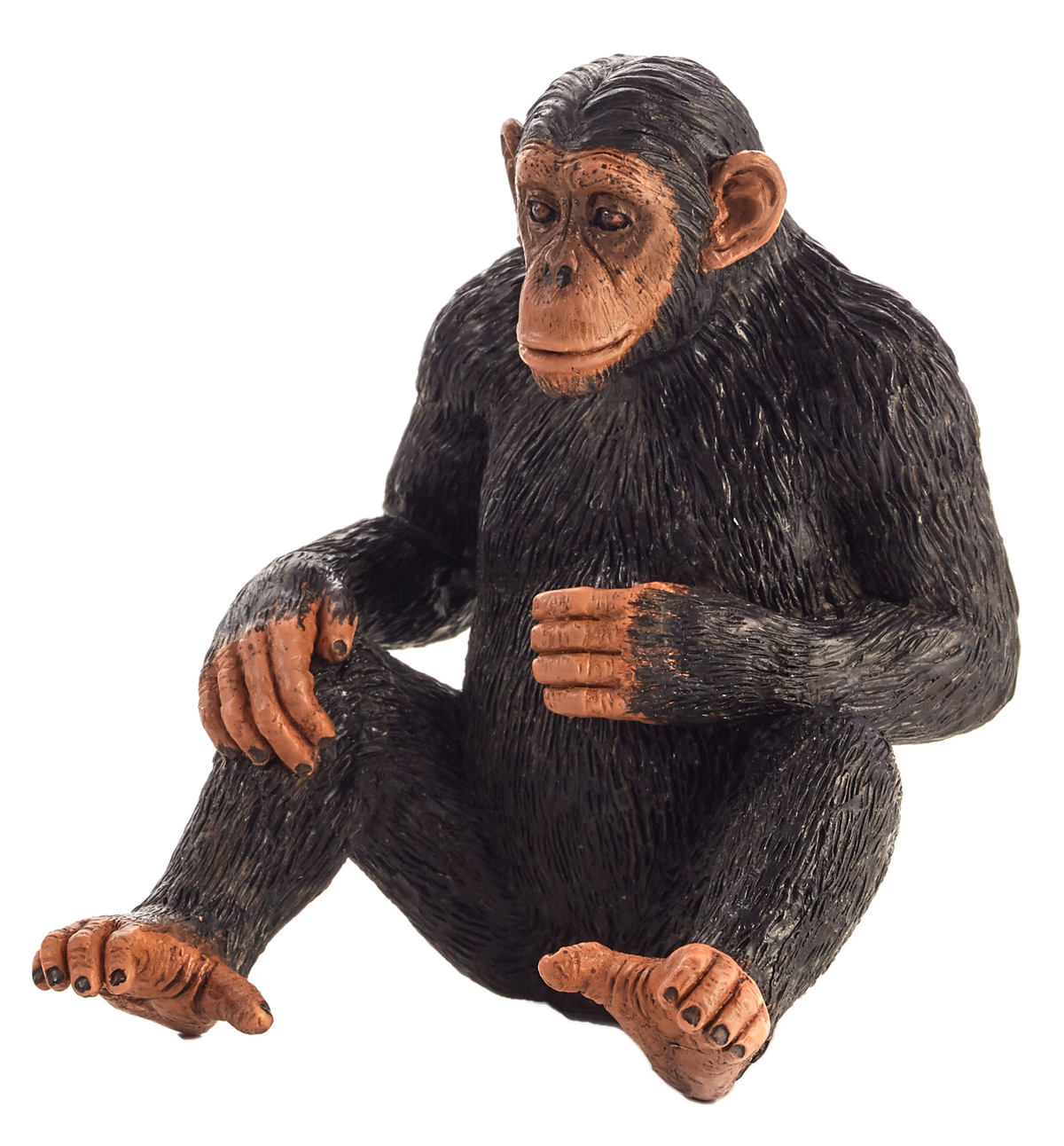 Mojo Animal Chimpanzee