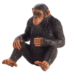 Mojo Animal Chimpanzee