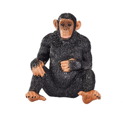 Mojo Animal Chimpanzee