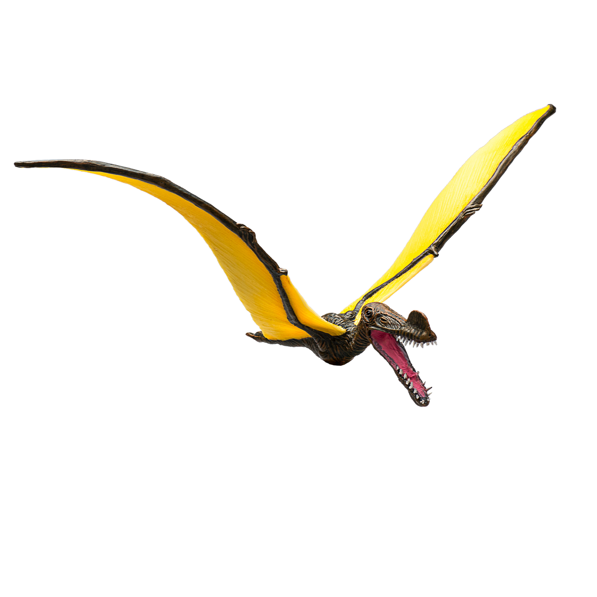 Mojo Animal Tropeognathus