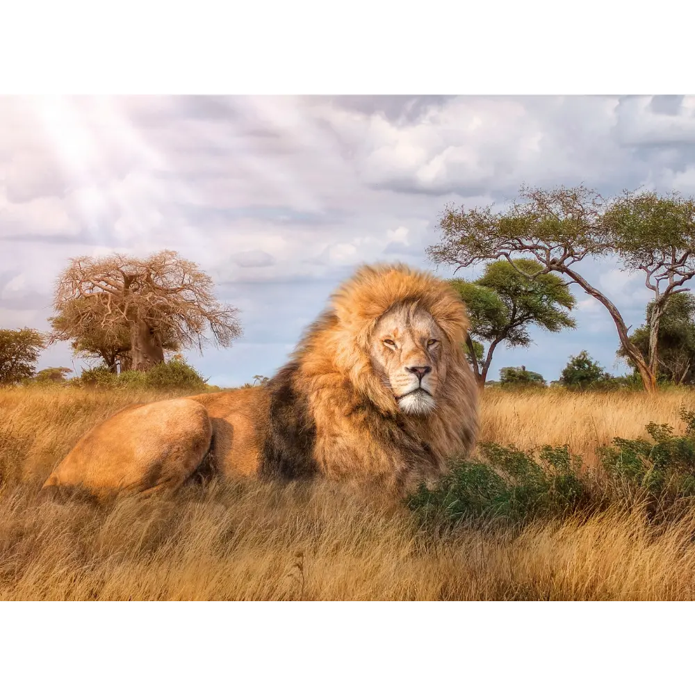 Clementoni Puzzle HQC The king 1000-Piece