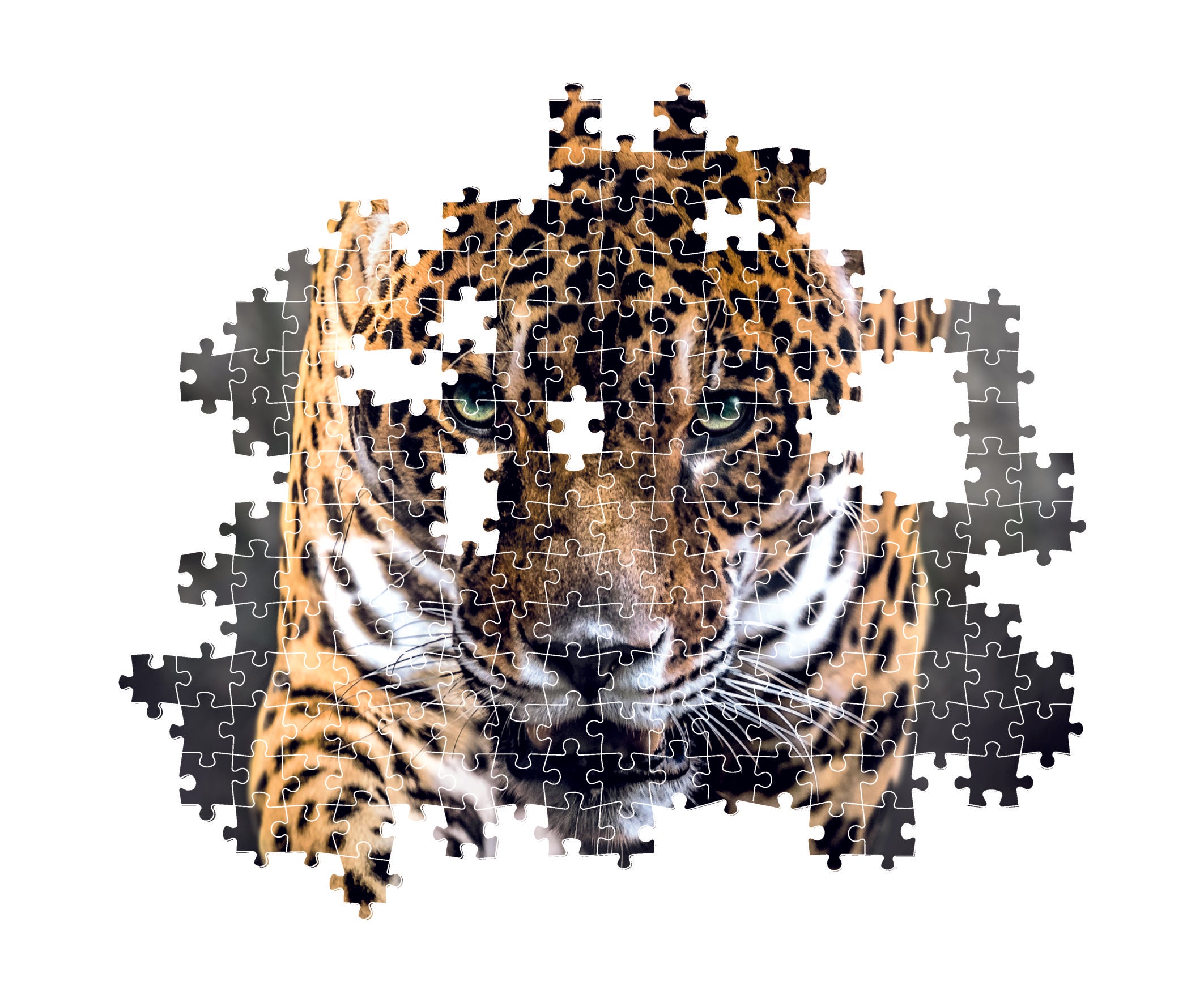 Clementoni 1000Pcs Puzzle Jaguar + Poster
