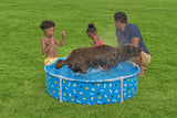 Bestway Pool Fetchin Pet Play 122x30.5cm