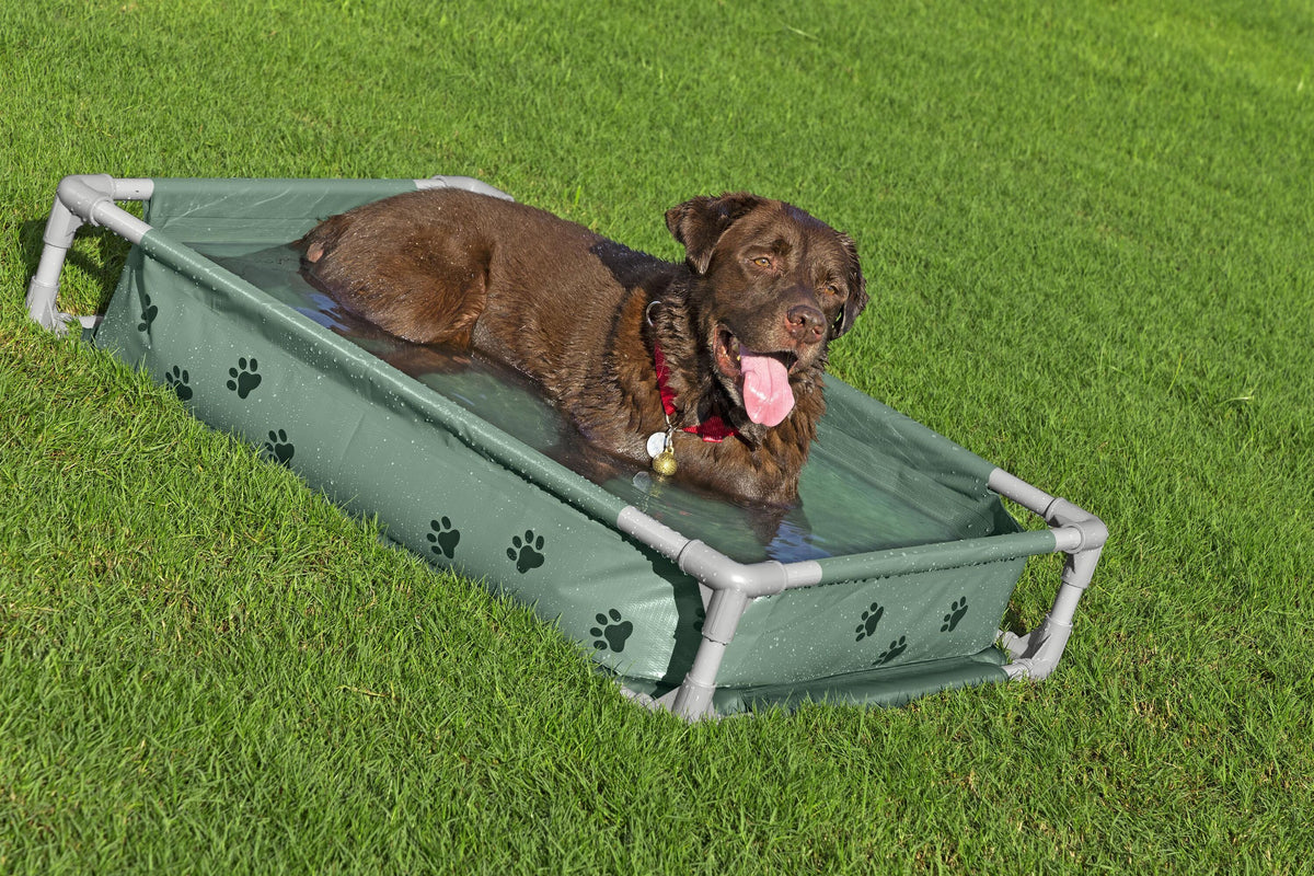 Bestway Pool Fetchin Pet Play & Bed 102x74x20cm