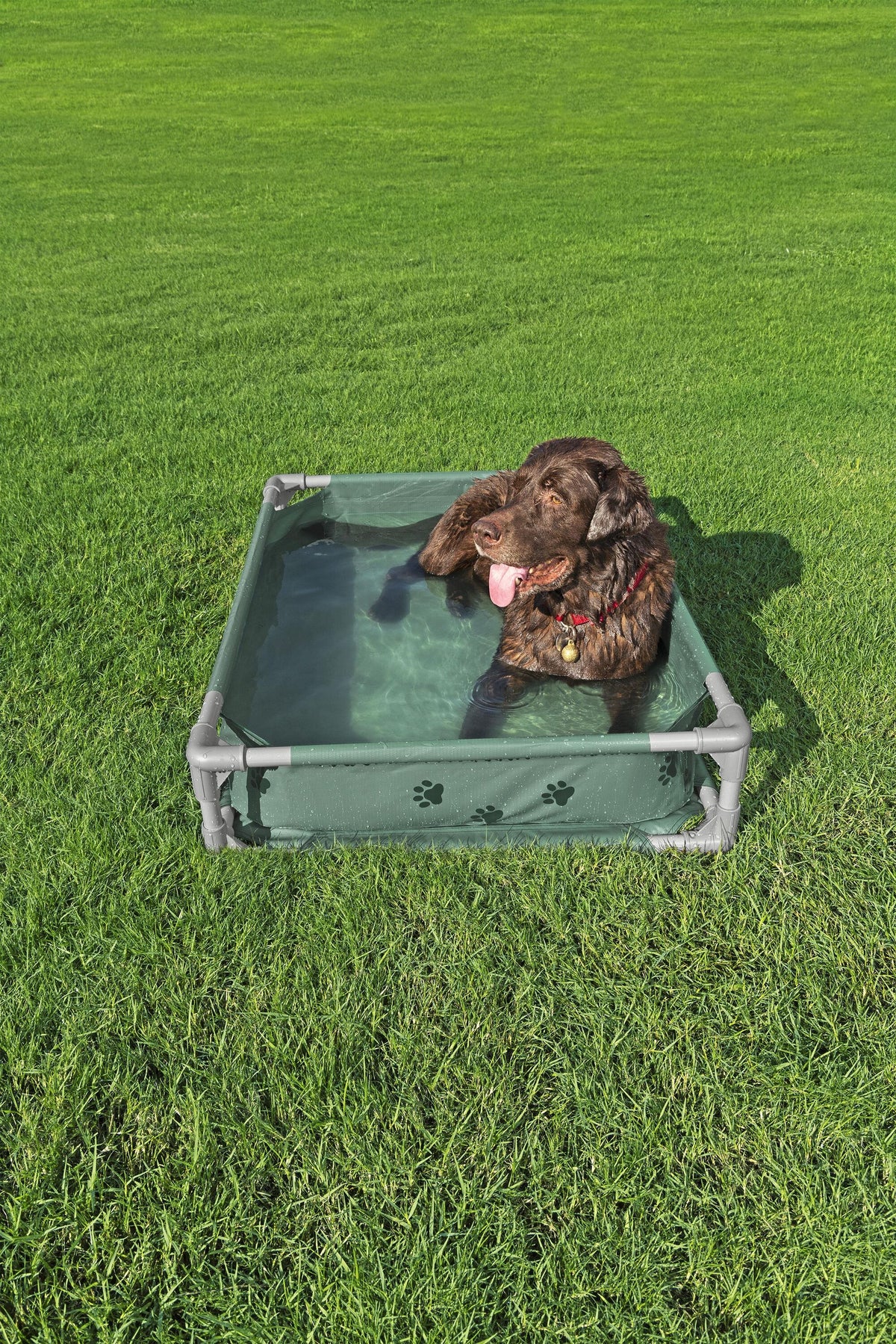 Bestway Pool Fetchin Pet Play & Bed 102x74x20cm