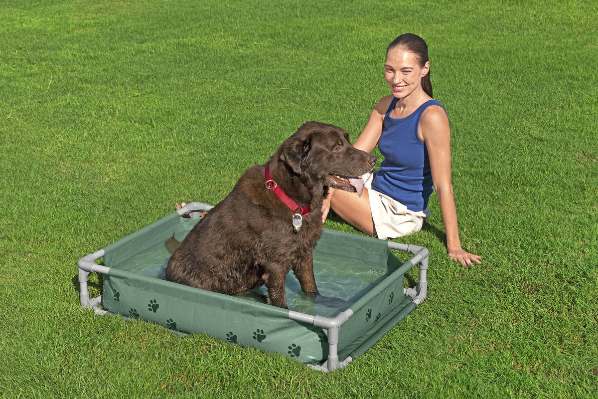 Bestway Pool Fetchin Pet Play & Bed 102x74x20cm