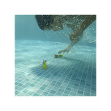 Swimways Toypedo Bandits