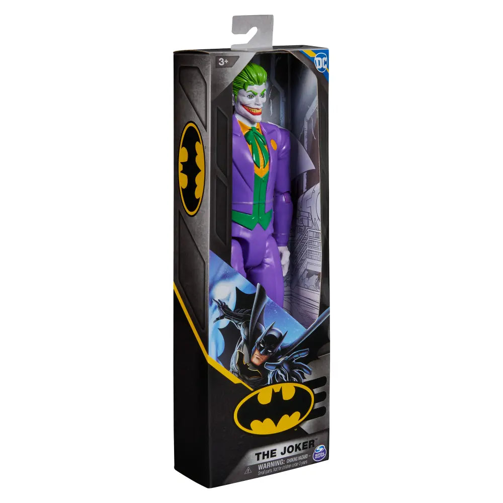 DC Comics Hero & Villain 12 Inch Assortment