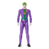 DC Comics Hero & Villain 12 Inch Assortment