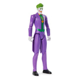 DC Comics Hero & Villain 12 Inch Assortment