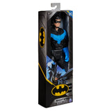 DC Comics Hero & Villain 12 Inch Assortment