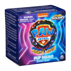 Pawpatrol Pup Squad Figure CDU36 WOC
