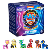 Paw Patrol Pup Squad Figure Assortment 1-piece