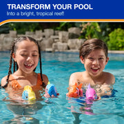 Swimways Rainbow Reef Asstortment Battery Operated 1-piece