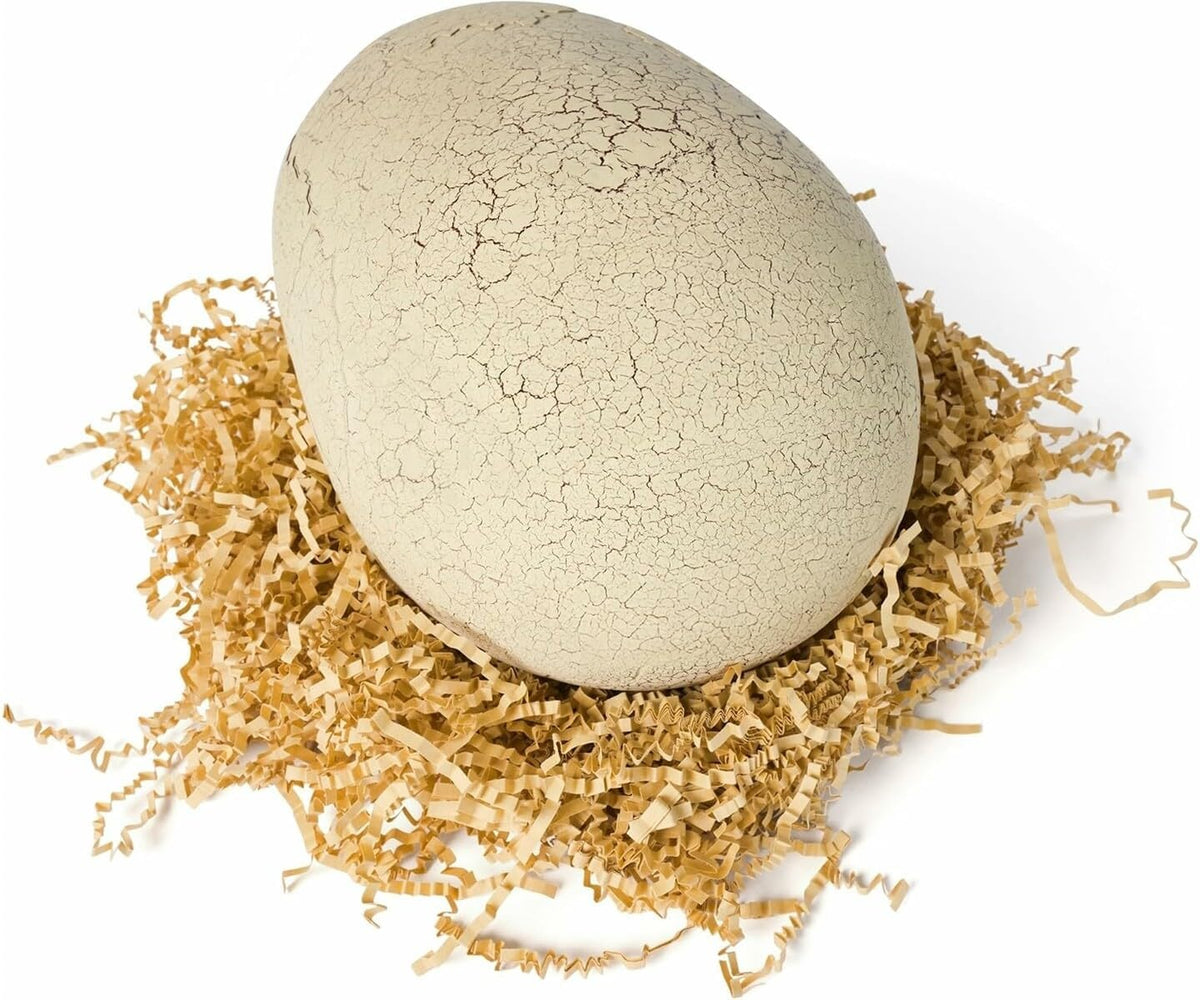Primal Hatch Interactive Hatching Dino Battery Operated