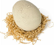 Primal Hatch Interactive Hatching Dino Battery Operated