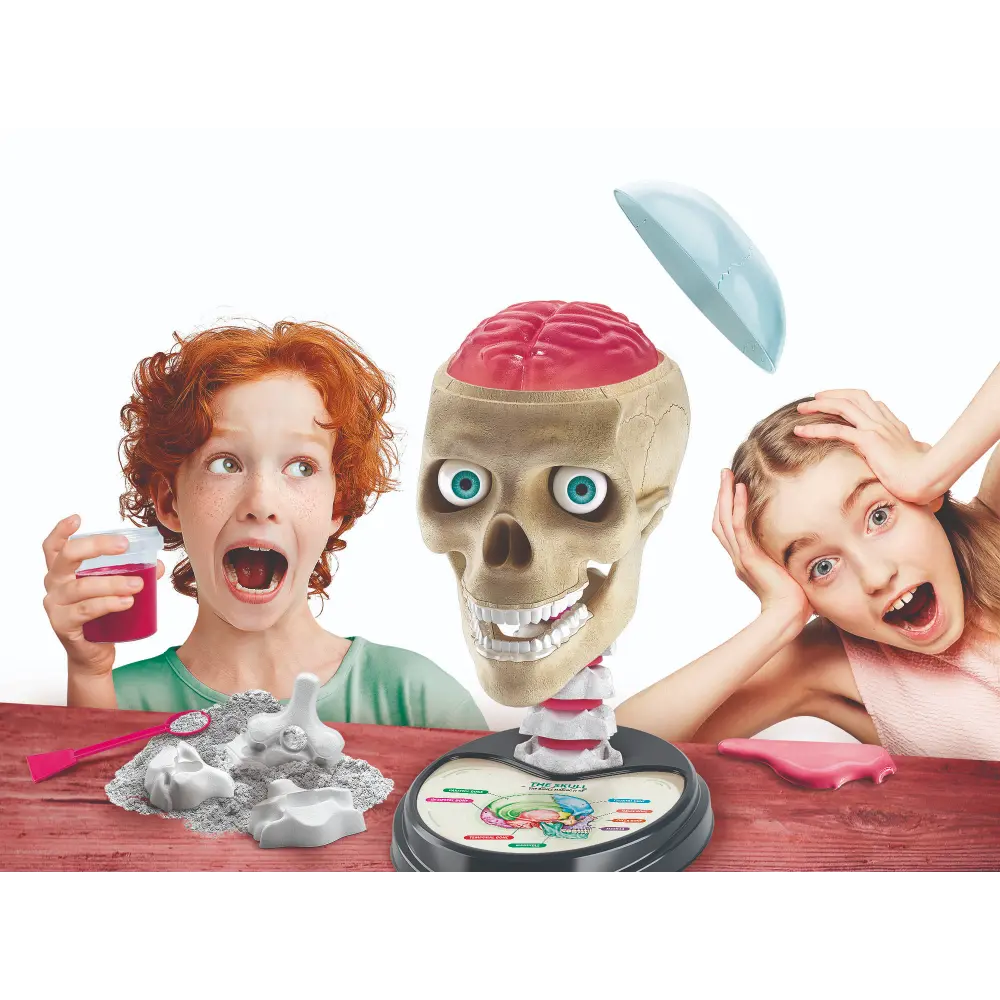 Clementoni Science & Play Crazy Anatomy Lab Toys for kids
