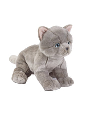 Natgeo Plush Premium British Kitten 10 Inch