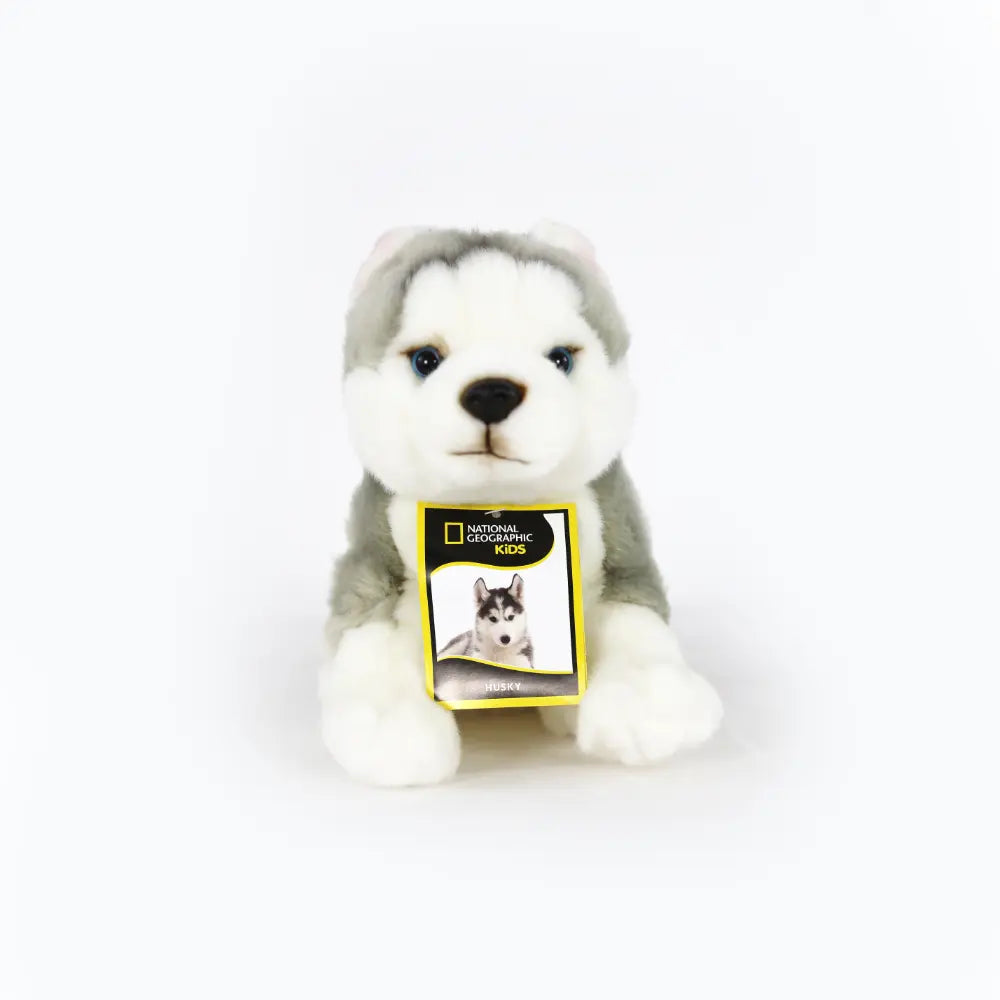 NATGEO PLUSH PREMIUM HUSKY 10INCH