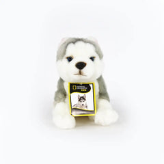 NATGEO PLUSH PREMIUM HUSKY 10INCH