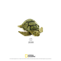 NATGEO PLUSH PREMIUM TURTLE 10INCHES