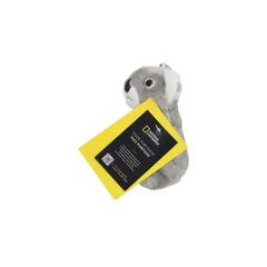 NATGEO CLIP PREMIUM KOALA 4INCH