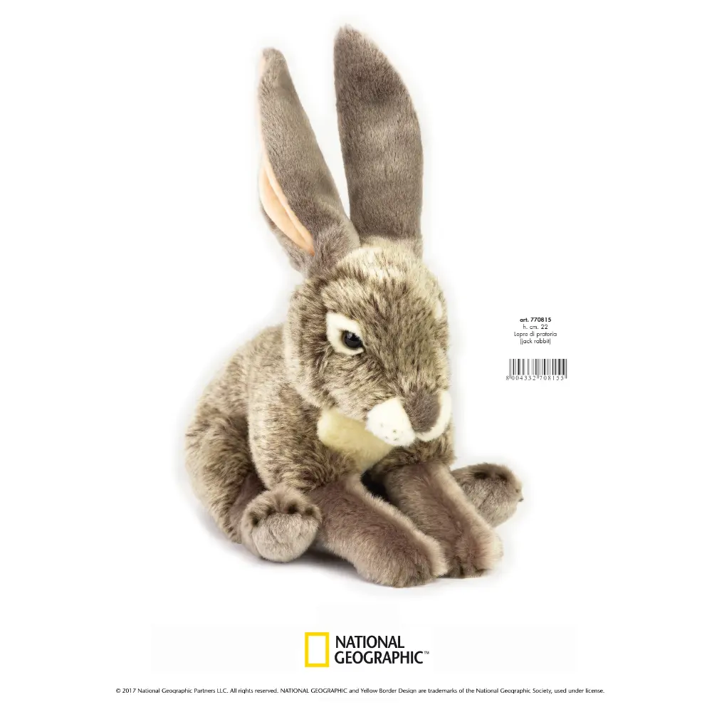 NATGEO PLUSH PREMIUM JACK RABBIT 10INCH