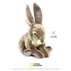 NATGEO PLUSH PREMIUM JACK RABBIT 10INCH