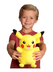 Pokemon Plush Assortment (1 piece, random character, subject to availability)