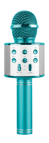 Power Joy Music Karaoke Microphone Battery Operated Assorted Colors - Random Selection