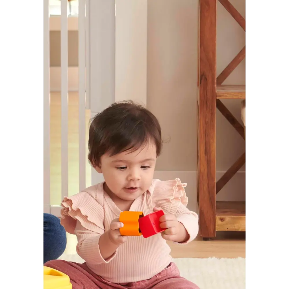 Fisherprice Babys First Blocks