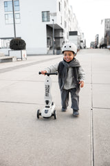 Scoot & Ride Highwaykick 1 Ash