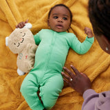 Fisher-Price Soothe & Settle Bunny