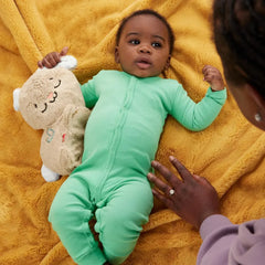 Fisher Price Soothe & Settle Bunny