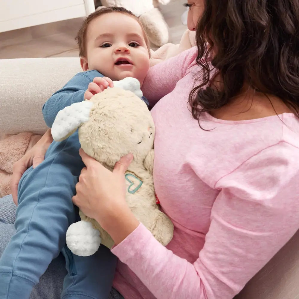 Fisher Price Soothe & Settle Bunny